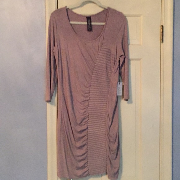 sao paulo Dresses & Skirts - NWT Bodycon dress with ruching & sleeves
